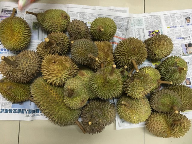 不吃榴槤沒關係？看看馬來西亞人一年怎麼吃11公斤榴槤！