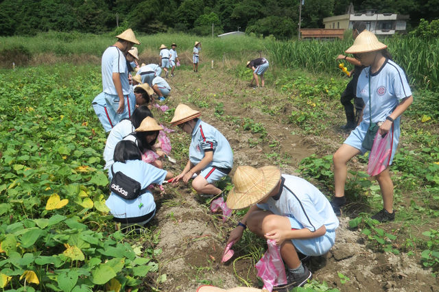 結合食農教育的四菜一湯：不一樣的家政課，讓孩子重新認識土地與環境