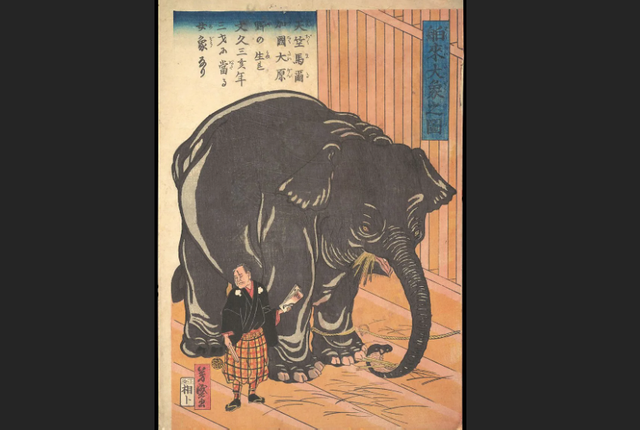 幕府、大象、杜鵑花：江戶時代的日本博物學