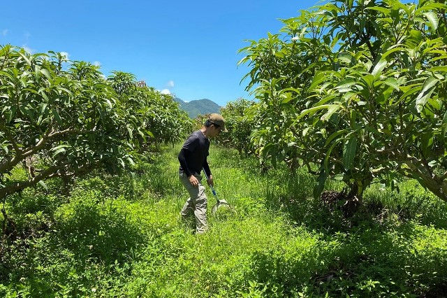 培力台灣永續農業：建構透明生產過程，提升農業韌性