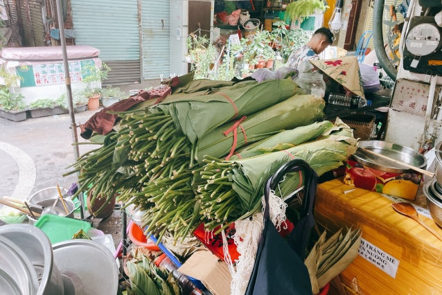 越南新年代表植物——尖苞柊葉