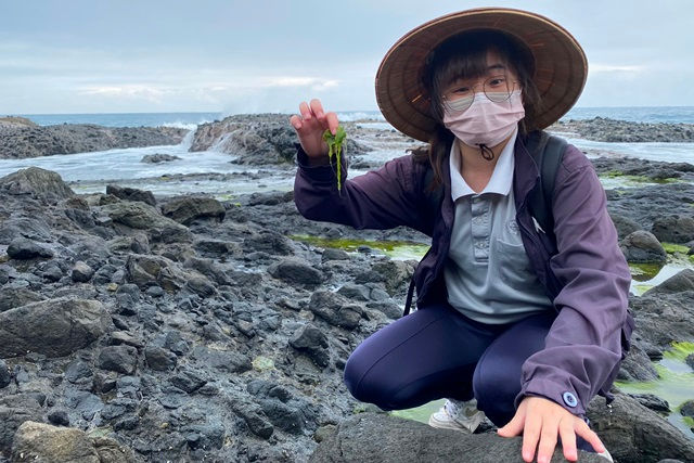 小小海藻也能成為部落生機！海濱原住民的野菜文化，由他們來點亮
