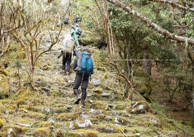 當光照進石板屋：走過高山、走進部落，走回只能靠雙腳抵達的家
