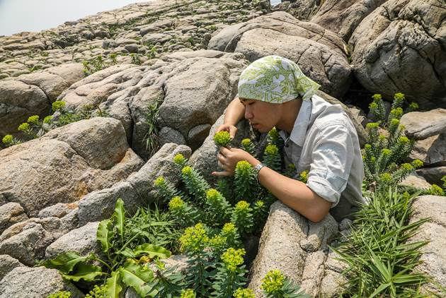 【給未來總統的一封信】從淨零損失到自然恢復，「綠領就業」能不能成為新經濟風潮？