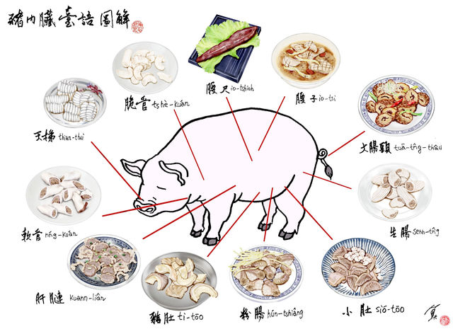 豬內臟台語圖解，您知道「天梯」、「脆管」、「生腸」指的是哪些部位嗎？