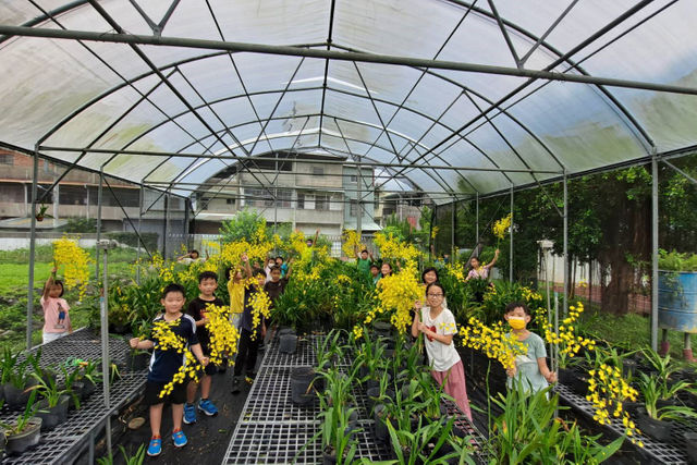 愛花的孩子不會變壞！大坑國小「蘭園」讓小朋友與蘭花一起長大