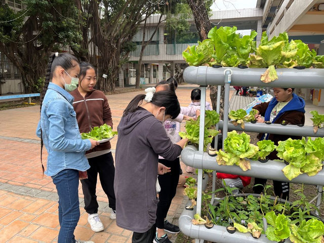 別讓下一代的孩子繼續失去故鄉：環保永續實踐，就從綠色校園開始