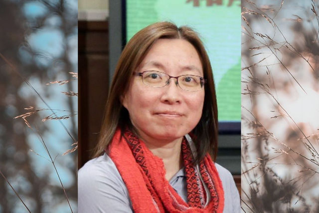 墜落的吊臂與未竟的憲政之夢：悼林淑雅與她的《第一民族》
