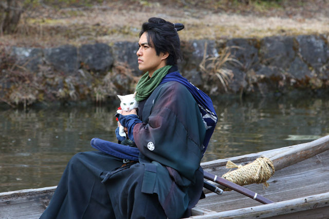 「江戶武士道，現代貓奴魂」──日本武士與貓，在紅什麼？