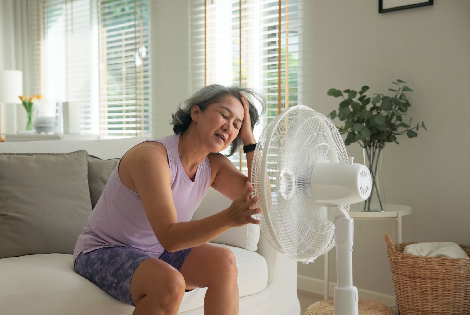 共好老後專欄｜在家也會中暑！環境部「酷齡行動」、弘道「夏日涼伴」如何拯救高齡熱危機？