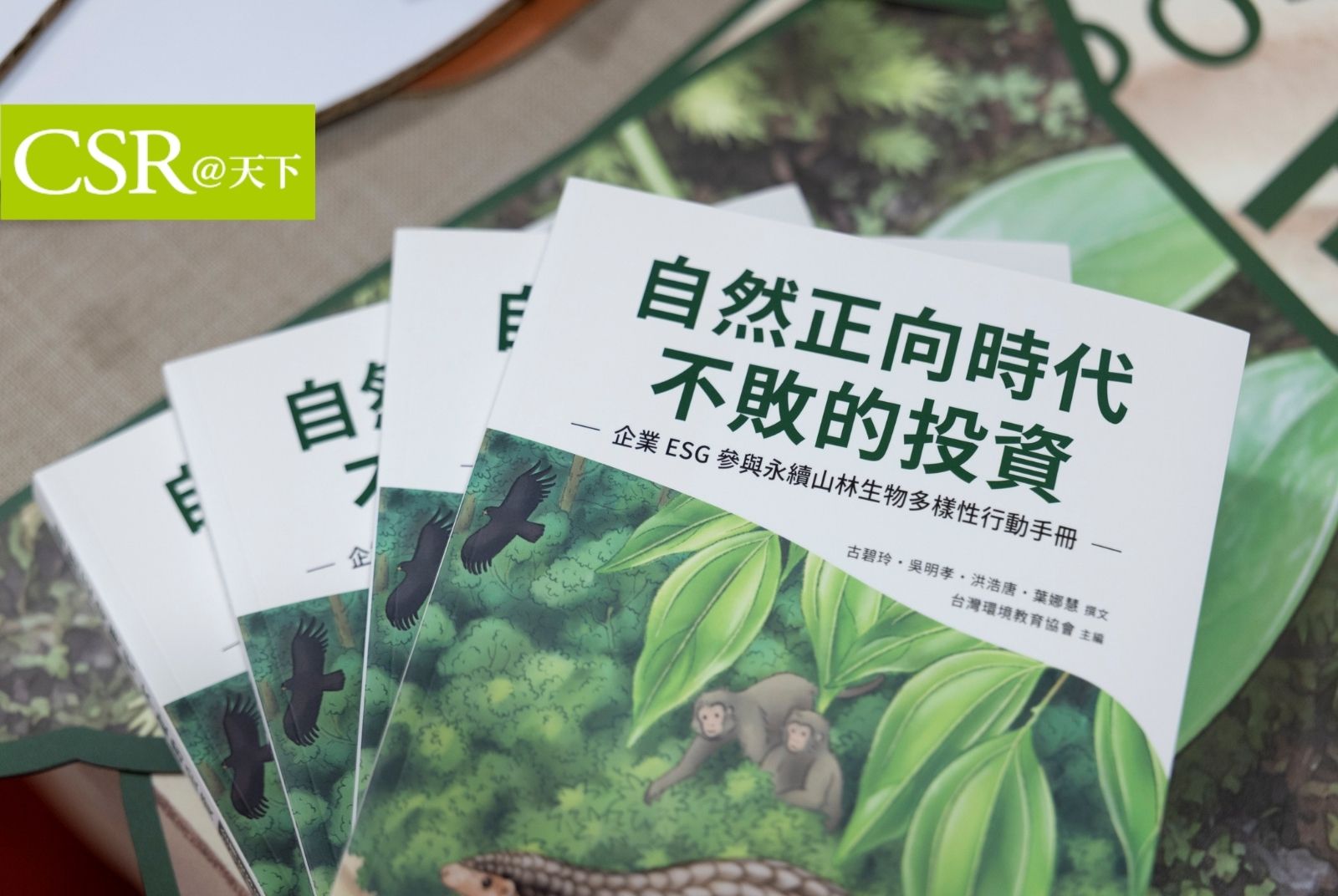 西藏冰川致災敲警鐘！林華慶：台版TNFD指引上路，要助企業度過自然焦慮，共創自然正向行動