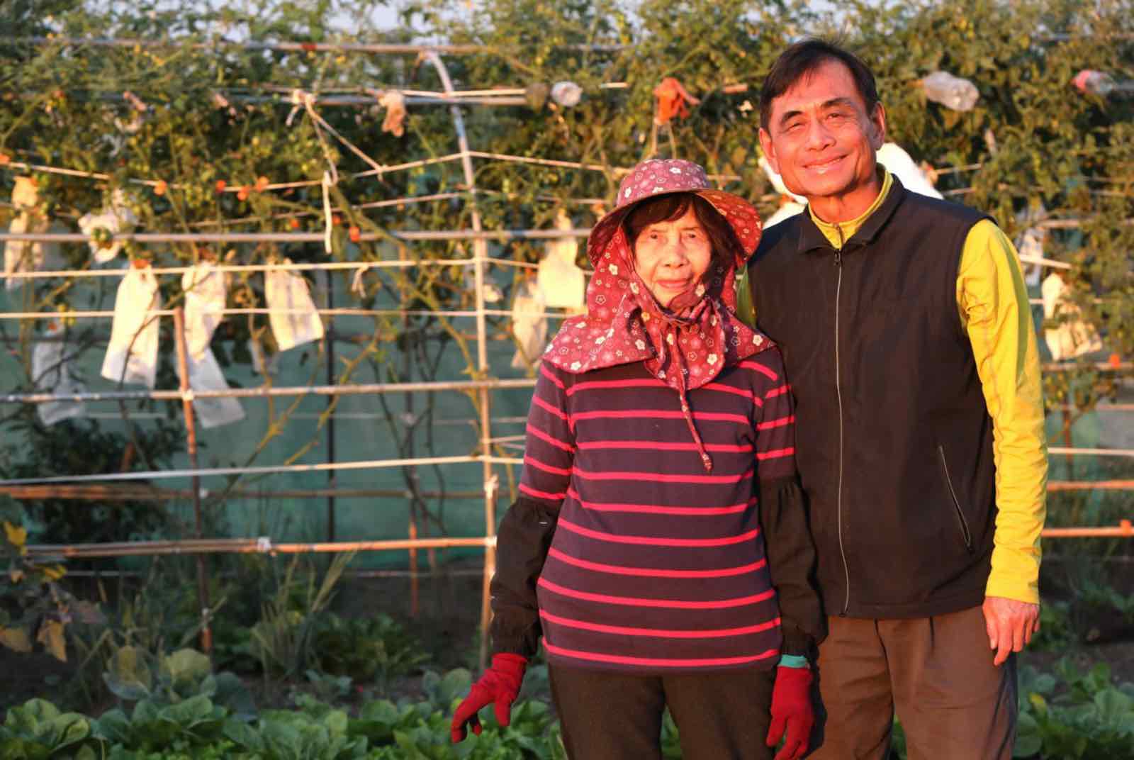 92歲種菜導師，第二人生比首刷還精采！嘉義二分之一農場，共享土地共老共好