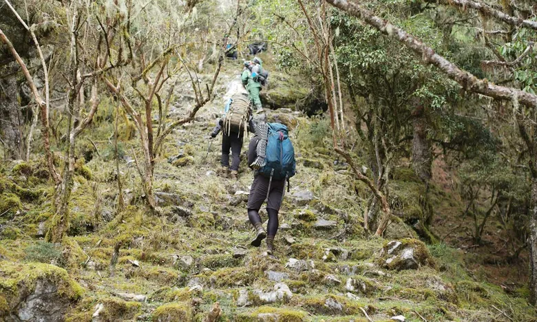 以回家為目標的山旅 十天九夜翻越中央山脈,馬遠布農青年的歸鄉尋根之路