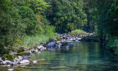 新北近郊山青水藍的北勢溪古道、灣潭古道,伴溪而行飽覽絕美親水風景