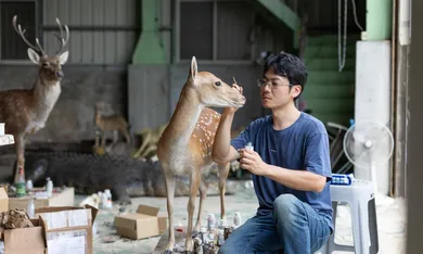 一個人的動物園,標本師黃雯杰精細還原動物生前面貌,將生命的一瞬化為永恆