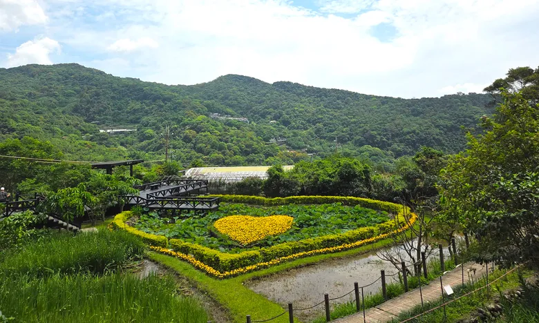 台北內湖景點一日遊|白石湖同心池5月化身巨大橘色愛心,順遊白石湖吊橋與秘境步道