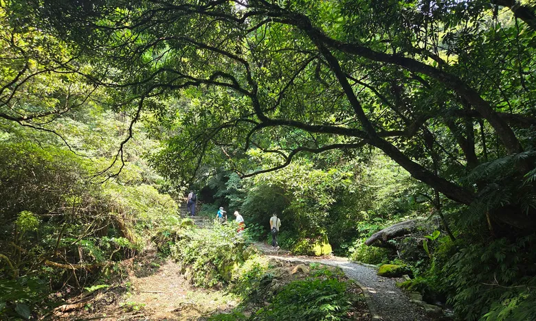 台北消暑步道|開箱陽明山新景點!漫遊竹子湖「猴崁水圳步道」感受山林療癒之旅