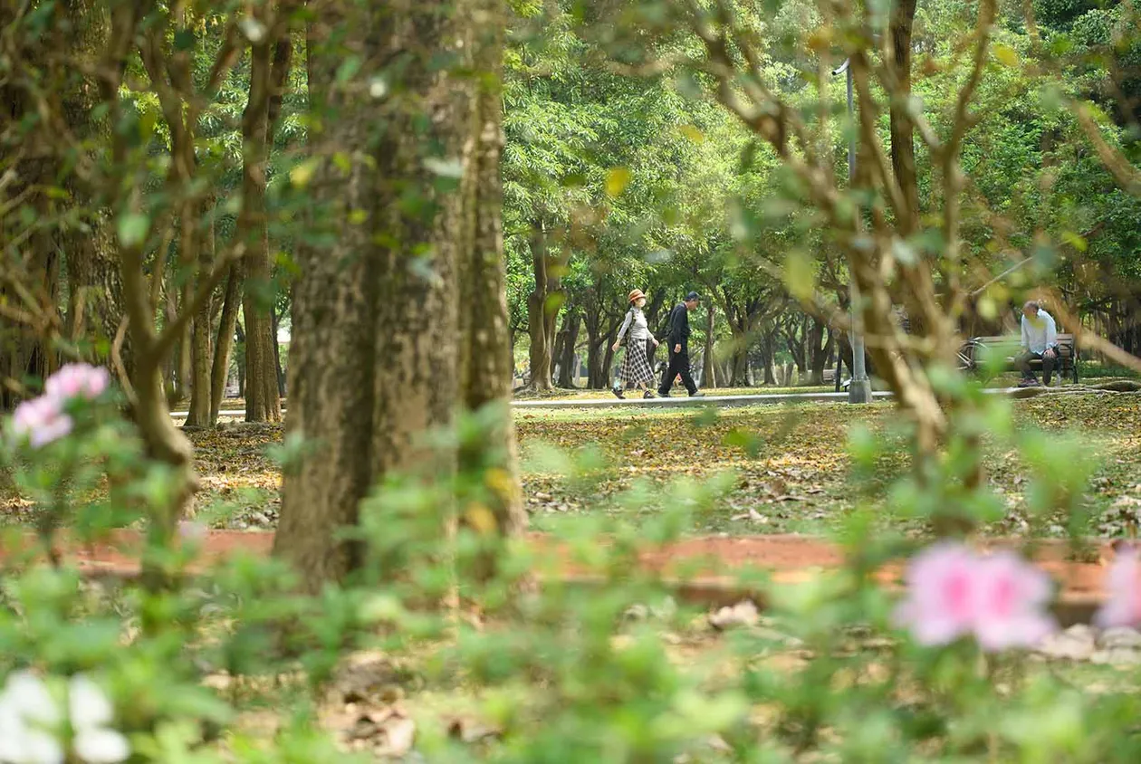 Taipei on Foot: An Urban Adventure