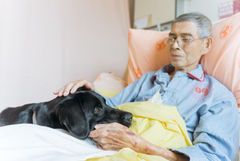 人氣最高的北榮員工！安寧病房輔助治療犬Oba，如何做到「人做不到」的事？