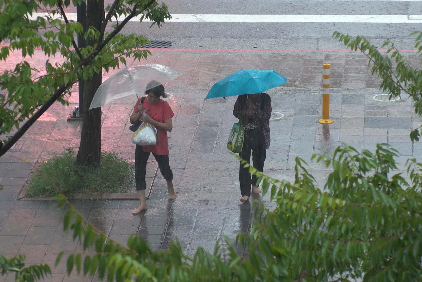 Climate Adaptation and AI Collaboration in Taiwan