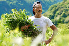 看似優雅老去，實則緩慢等死？阿原肥皂創辦人：60歲要懂得布施和回饋