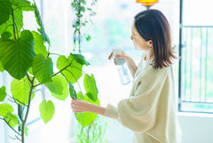 聰明慢老專欄︱斷捨離太難？整理不用極簡、不求怦然心動，其實你也可以「慢慢來」