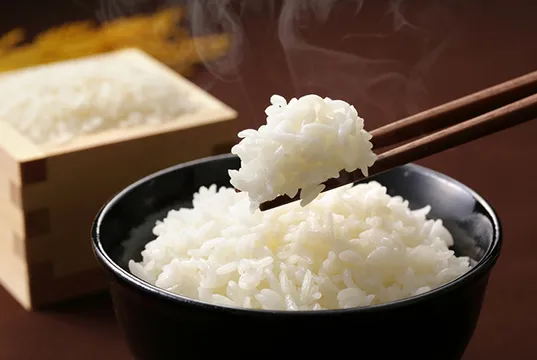 【低碳生活部落格】百年米廠也變「綠」！來自後山的傳產節能標竿
