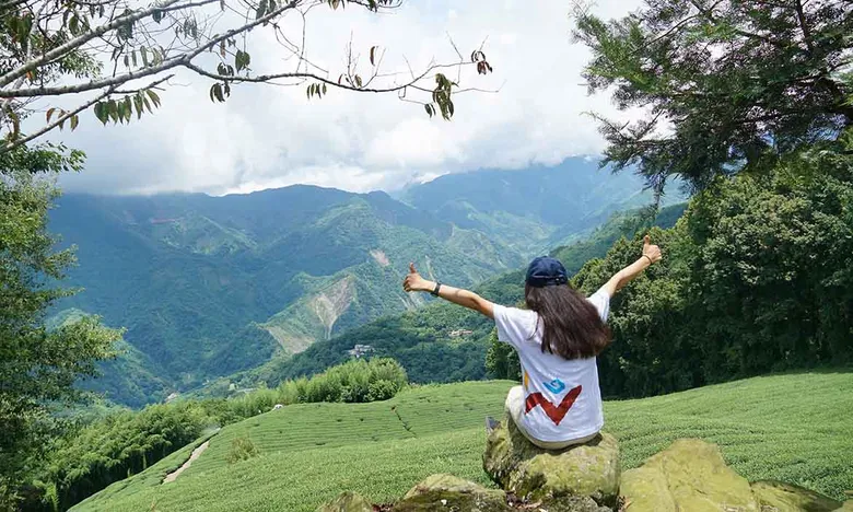 阿里山忘憂旅 在達邦部落「maezo」生活,走訪仙境茶園與鄒族古道